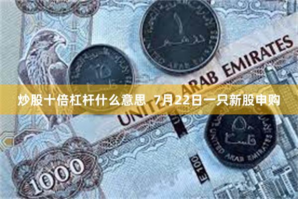 炒股十倍杠杆什么意思  7月22日一只新股申购