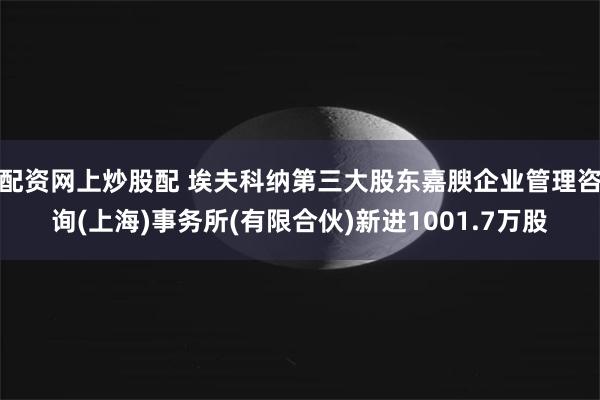 配资网上炒股配 埃夫科纳第三大股东嘉腴企业管理咨询(上海)事务所(有限合伙)新进1001.7万股