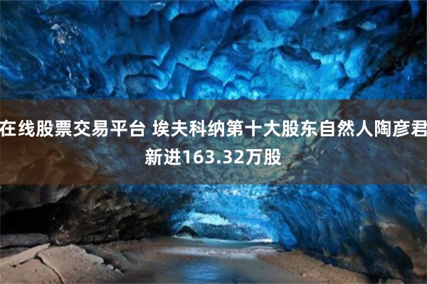 在线股票交易平台 埃夫科纳第十大股东自然人陶彦君新进163.32万股