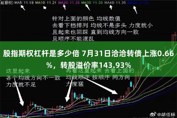 股指期权杠杆是多少倍 7月31日洽洽转债上涨0.66%，转股溢价率143.93%