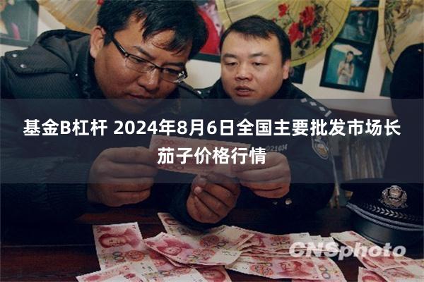 基金B杠杆 2024年8月6日全国主要批发市场长茄子价格行情