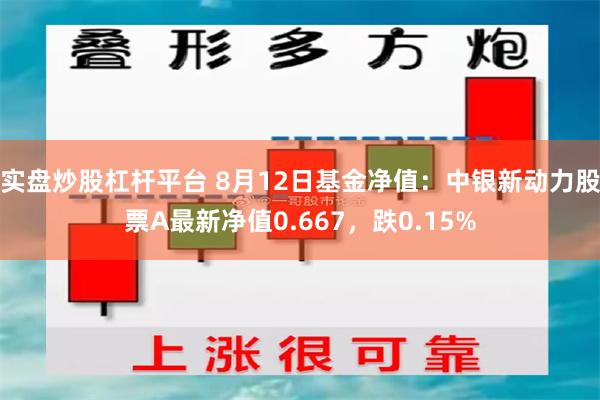 实盘炒股杠杆平台 8月12日基金净值：中银新动力股票A最新净值0.667，跌0.15%