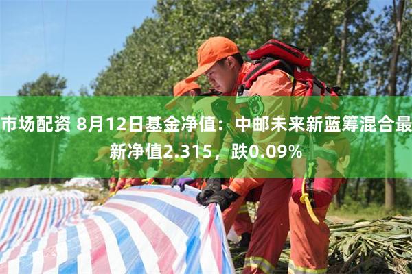 市场配资 8月12日基金净值：中邮未来新蓝筹混合最新净值2.315，跌0.09%