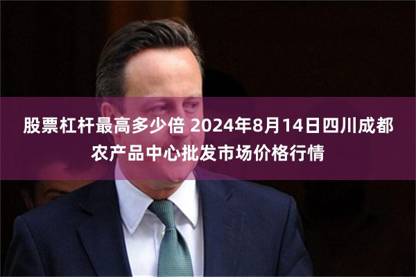 股票杠杆最高多少倍 2024年8月14日四川成都农产品中心批发市场价格行情