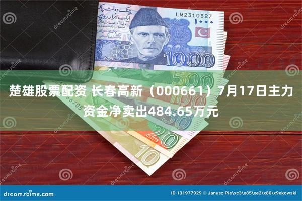 楚雄股票配资 长春高新（000661）7月17日主力资金净卖出484.65万元