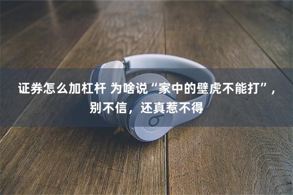 证券怎么加杠杆 为啥说“家中的壁虎不能打”，别不信，还真惹不得