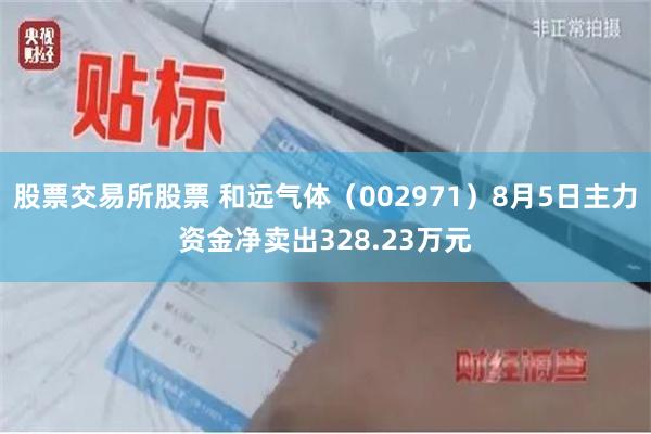 股票交易所股票 和远气体（002971）8月5日主力资金净卖出328.23万元