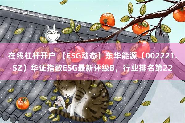 在线杠杆开户 【ESG动态】东华能源（002221.SZ）华证指数ESG最新评级B，行业排名第22