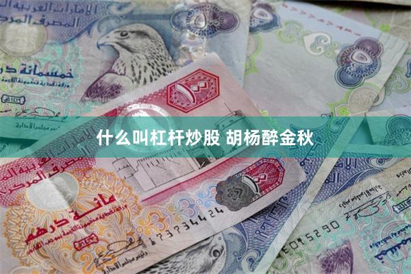 什么叫杠杆炒股 胡杨醉金秋