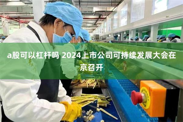 a股可以杠杆吗 2024上市公司可持续发展大会在京召开