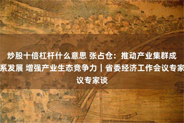 炒股十倍杠杆什么意思 张占仓：推动产业集群成体系发展 增强产业生态竞争力｜省委经济工作会议专家谈