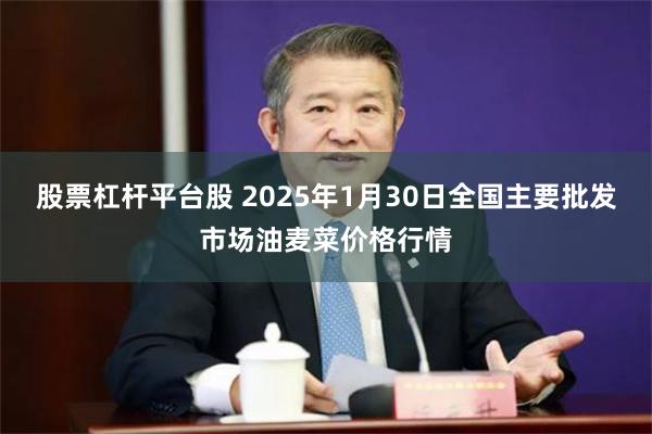 股票杠杆平台股 2025年1月30日全国主要批发市场油麦菜价格行情