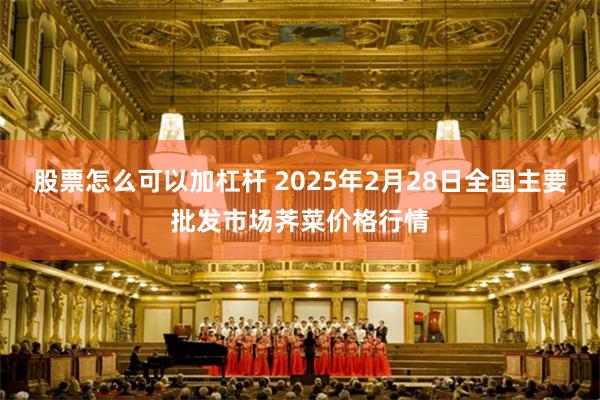 股票怎么可以加杠杆 2025年2月28日全国主要批发市场荠菜价格行情