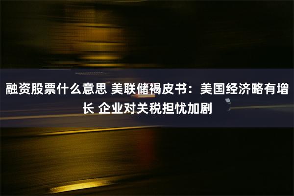 融资股票什么意思 美联储褐皮书：美国经济略有增长 企业对关税担忧加剧