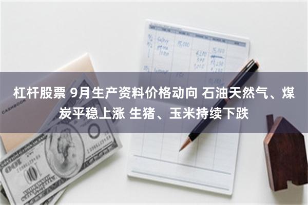 杠杆股票 9月生产资料价格动向 石油天然气、煤炭平稳上涨 生猪、玉米持续下跌